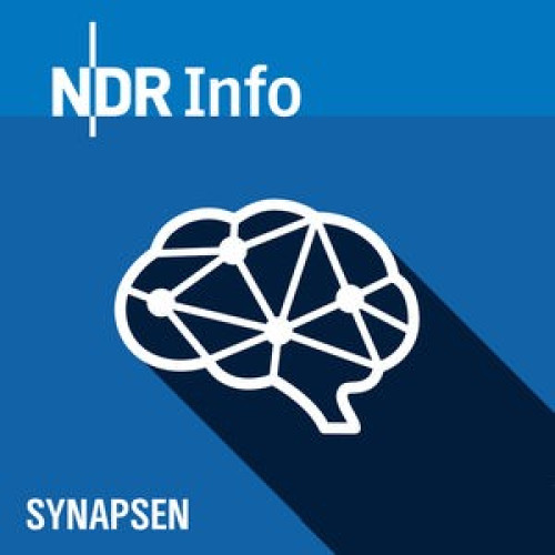 Logo NDR Info Synapsen